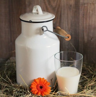 Vegane Milch gibt es in vielfältigen Varianten